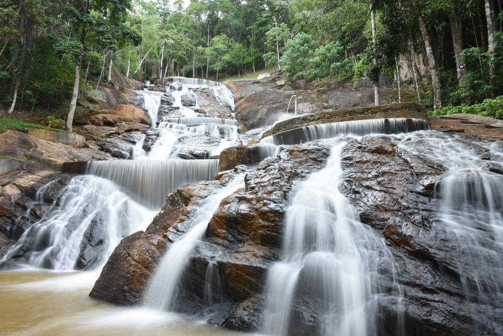 Estacao Verde & Agua Domingos Martins Exteriér fotografie