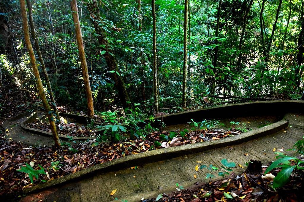 Estacao Verde & Agua Domingos Martins Exteriér fotografie